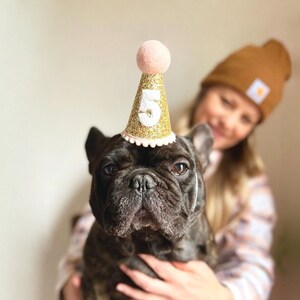 Chapeau de fête pour animal de compagnie | Chapeau de fête d&#39;anniversaire pour chien | Chapeau de fête pour chien | Chapeau d&#39;anniversaire pour chien | Chapeau de fête chat | Les grands animaux | Doré rose bébé