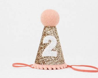 2nd Birthday Hat | Second Birthday Hat | 2nd Birthday Girl Outfit | Second Birthday Outfit Girl | Gold Glitter Hat + Blush Accents