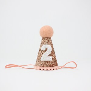 First Birthday Hat 1st Birthday Hat 1st Birthday Girl Outfit First Birthday Outfit Girl Rose Gold Glitter Hat Blush Accents "2"