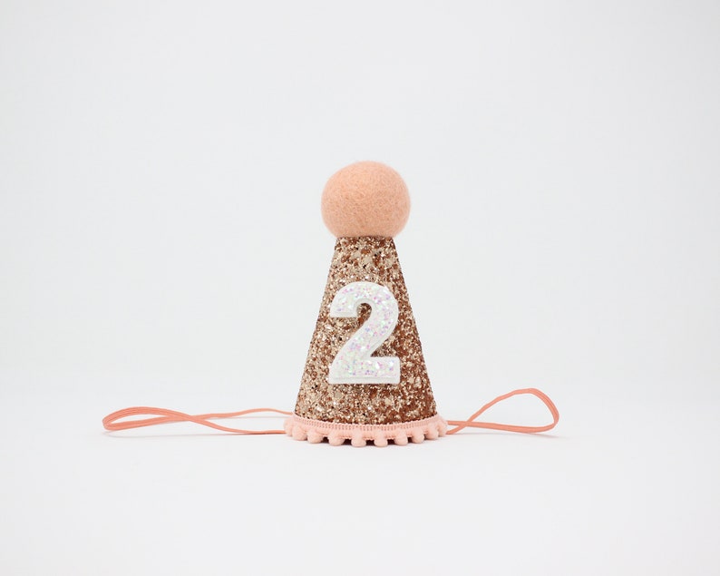 First Birthday Hat 1st Birthday Hat 1st Birthday Girl Outfit First Birthday Outfit Girl Rose Gold Glitter Hat Blush Accents "2"