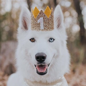 Dog Birthday Crown | Pet Birthday Crown | Dog Crown | Pet Crown | Dog Party Hat | Dog Birthday Party Crown | Any Age | Gold