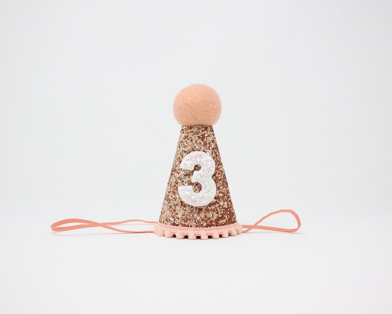 First Birthday Hat 1st Birthday Hat 1st Birthday Girl Outfit First Birthday Outfit Girl Rose Gold Glitter Hat Blush Accents "3"