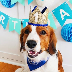 Dog Birthday Crown Pet Birthday Crown Dog Crown Pet Crown Dog Party Hat Dog Birthday Party Crown Any Age Gold and Choose Color image 9