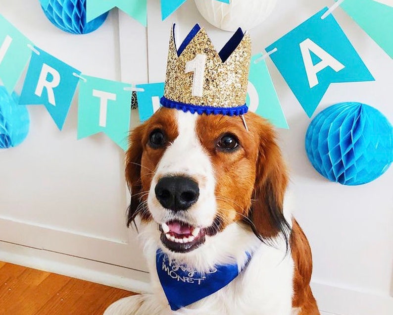 Dog Birthday Crown Pet Birthday Crown Dog Crown Pet Crown Dog Party Hat Dog Birthday Party Crown Any Age Gold and Choose Color image 9