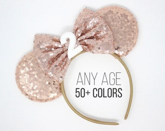 2nd Birthday Mouse Ears | Mouse Ears | Mouse Birthday | 2nd Birthday Outfit | Park Ears | Choose Color + Number