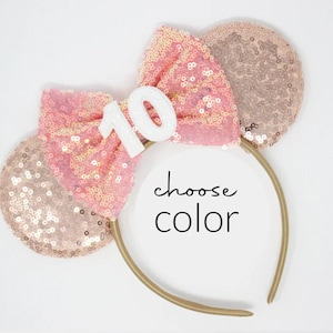 10th Birthday Mouse Ears Headband | Rose Gold Mouse Ears | Any Age Choose Color