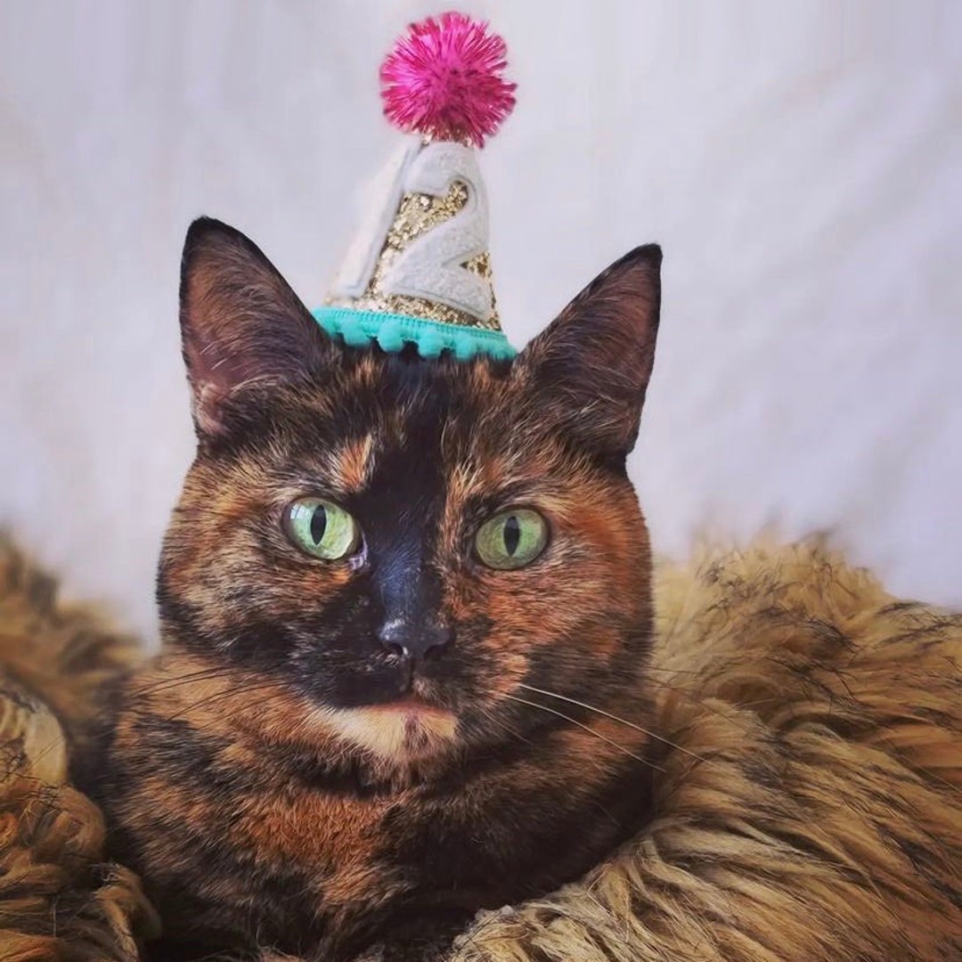 Pet Party Hat Mini Dog Birthday Party Hat Mini Dog Party Hat Cat