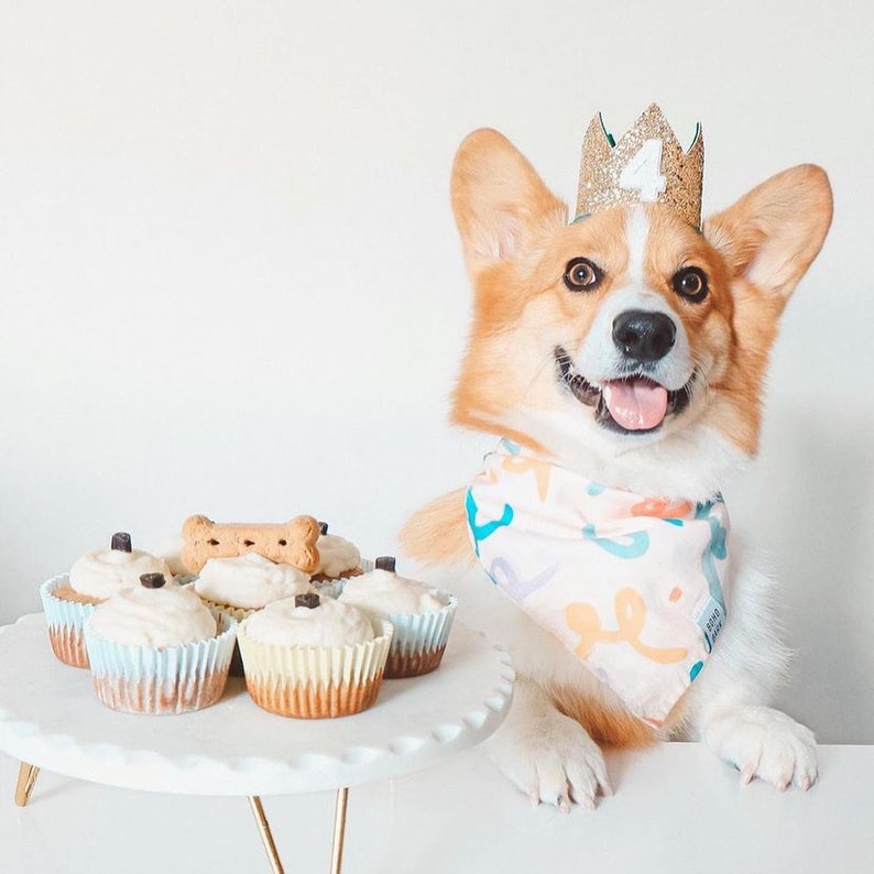 Dog Birthday Crown Pet Birthday Crown Dog Crown Pet Crown Dog Party Hat Dog Birthday Party Crown Any Age Gold and Choose Color image 6