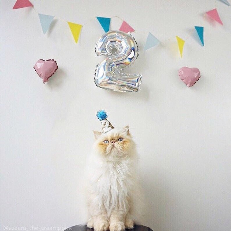 Cat Birthday Simarro Pink Hat Scarf Set, Cute LaceBandana Cat