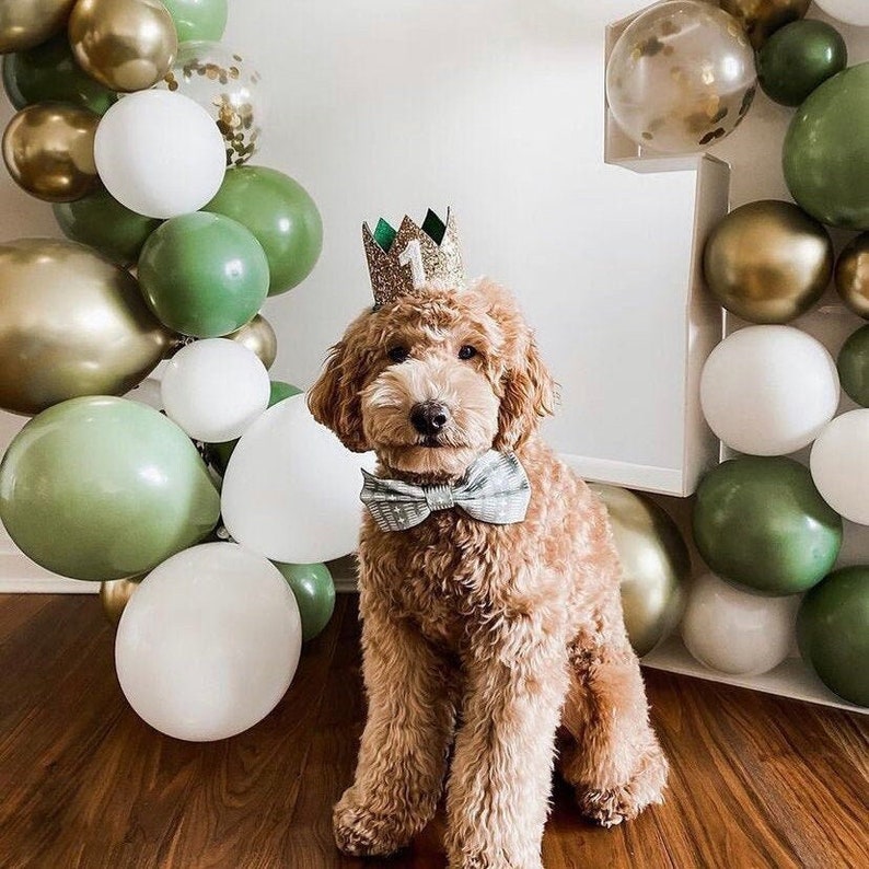 Dog Birthday Crown Pet Birthday Crown Dog Crown Pet Crown Dog Party Hat Dog Birthday Party Crown Any Age Gold and Choose Color image 1