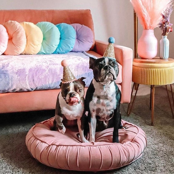 French bulldog birthday hat hot sale