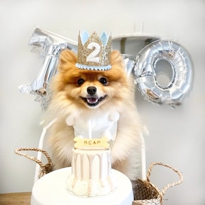 Dog Birthday Crown Pet Birthday Crown Dog Crown Pet Crown Dog Party Hat Dog Birthday Party Crown Any Age Gold and Choose Color image 8