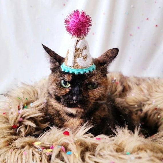 Chapeau Cavalier Paillettes - Couleur au Choix - Jour de Fête