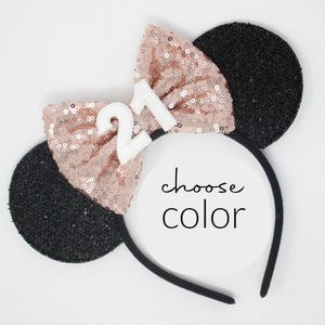 21st Birthday Mouse Ears Headband | Mouse Birthday Ears | 21st Birthday Party Mouse Ear | Choose Color + Age