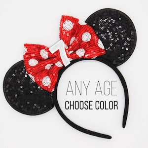 Polka Dot Birthday Mouse Ears 2nd birthday Polka Dot Bow on Ears 2 Polka Dot Park Ears Polka Dot Ears Choose Color Age image 7