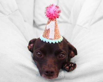 Gorro de fiesta para mascotas pequeñas / Gorro de fiesta para gatos pequeños / Gorro de cumpleaños para perros pequeños / Gorro dorado para mascotas pequeñas + Ribete de pompón menta + Parte superior de oropel rosa + Número con purpurina blanca