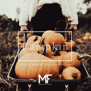 Pumpkin Fall Lightroom Presets: Mobile & Desktop (DNG, XMP)