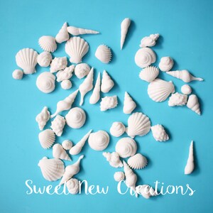 Sea Shell fondant topper 50pcs Beach cake topper beach cupcake toppers sea shore edible sea shells party favors  summer decorations