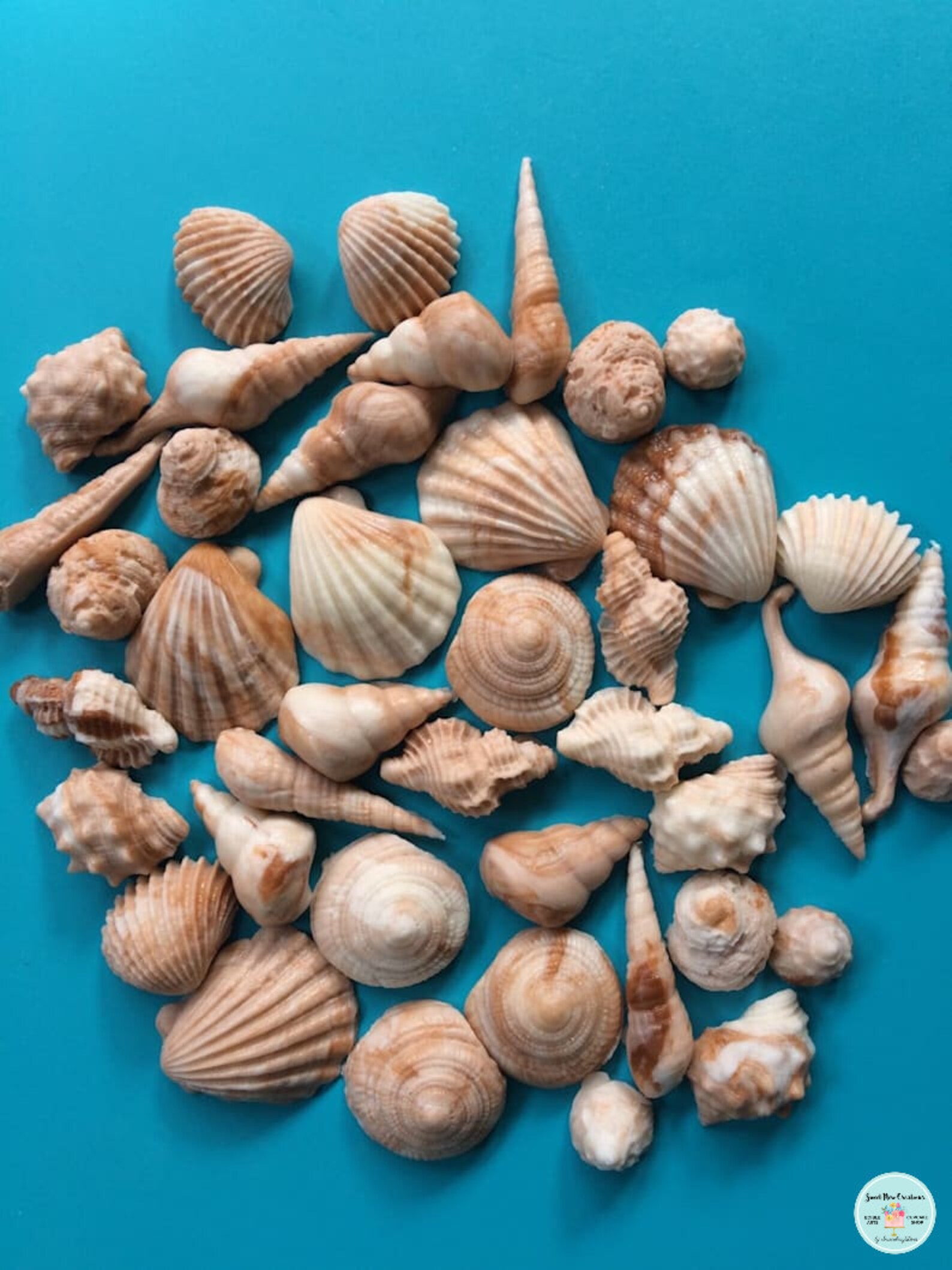 Sea Shell Fondant Topper 50pcs Beach Cake Topper Beach Cupcake Toppers ...