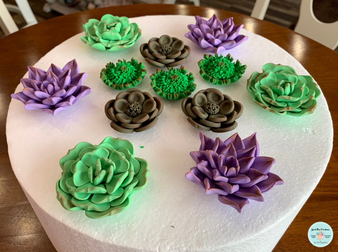 Assorted Succulent Edible Fondant Flower Medium 2 Desert Cupcake Cake
