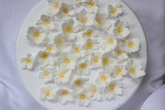 Orchid Edible Flowers Yellow Orchids Fondant Flowers Cupcake Etsy