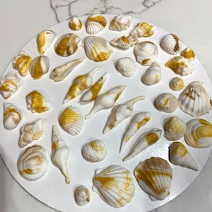 Sea Shell with gold fondant topper 50pcs Beach cupcake toppers sea shore edible party favors summer theme decorations