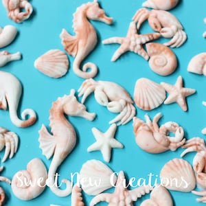 Fondant Sea Horse 35pcs Sea Shell fondant topper Beach cake topper beach cupcake toppers edible hermit crab starfish party favors
