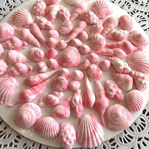Pink Sea Shells fondant topper 50pcs Beach cake topper beach cupcake toppers sea shore edible sea shells party favors  summer decorations