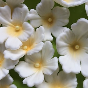 edible flowers white spray in two sizes, fondant flowers, edible fondant cake cupcake toppers decorations