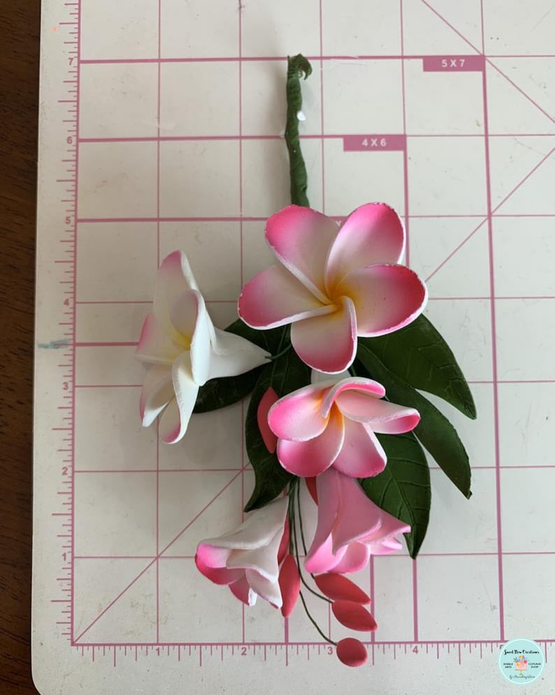 Frangipani Spray Pink Gum Paste Sugar Flowers Filler Cascade Etsy