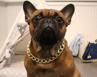 small dog gold chain