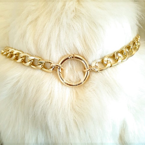 Dog Collar the Classic Gold Chain Necklace Pet Etsy