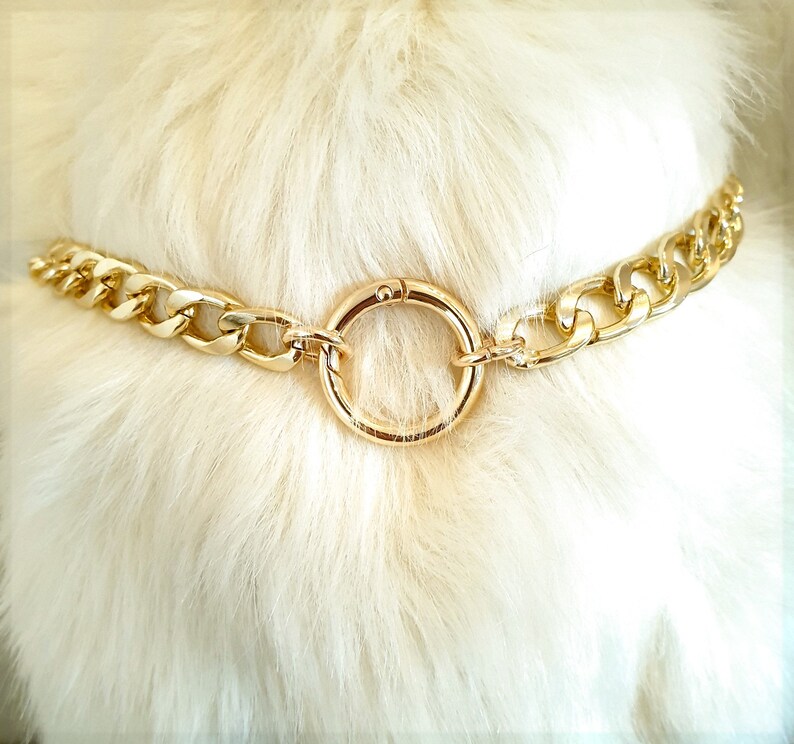 Bling Gold Dog Collar Chain Etsy UK