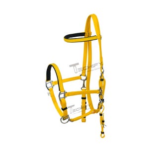 May include: A yellow horse halter with black padding on the crown and noseband. The halter features silver-colored metal hardware, including rings and a clip. The brand name "TECHIFY" is visible in the image.