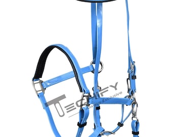 Blue Leather Horse Halter – Adjustable Padded Halter with Stainless Steel Hardware, Handmade Equestrian Tack