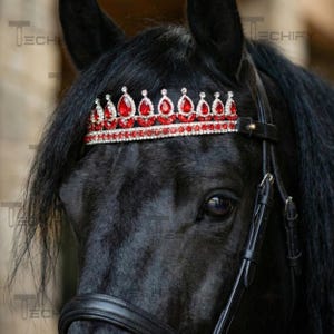 May include: A close-up of a black horse wearing a red and silver jeweled crown. The crown is adorned with teardrop-shaped red gems and smaller silver stones. The horse also wears a black leather bridle.