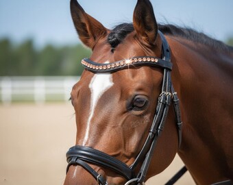 Black Leather Browband with Rose Gold Crystals – Handmade Horse Bridle Accessory
