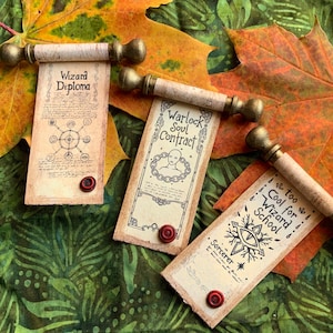 Diplomas de clase de DnD. Mago, hechicero, brujo. Pergaminos en miniatura. Regalo personalizado. Imán para el refrigerador.