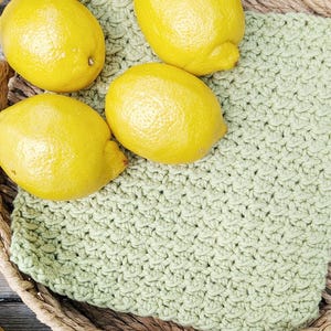 CROCHET PATTERN: Citrus Grove dishcloth crochet pattern, beginner crochet dish cloth pattern, easy washcloth crochet pattern