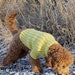 see more listings in the Pets clothing & acc section