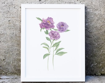 Watercolor Purple Peonies illustrated painting art print, Mother's Day gift