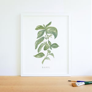 Watercolor Basil herb painting art print, kitchen decor
