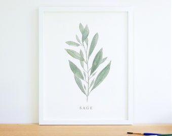 Watercolor Sage herb painting art print, kitchen decor