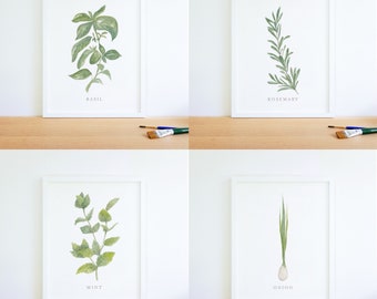 Herb Art Prints Bundle