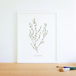 Watercolor Thyme herb painting art print, kitchen decor