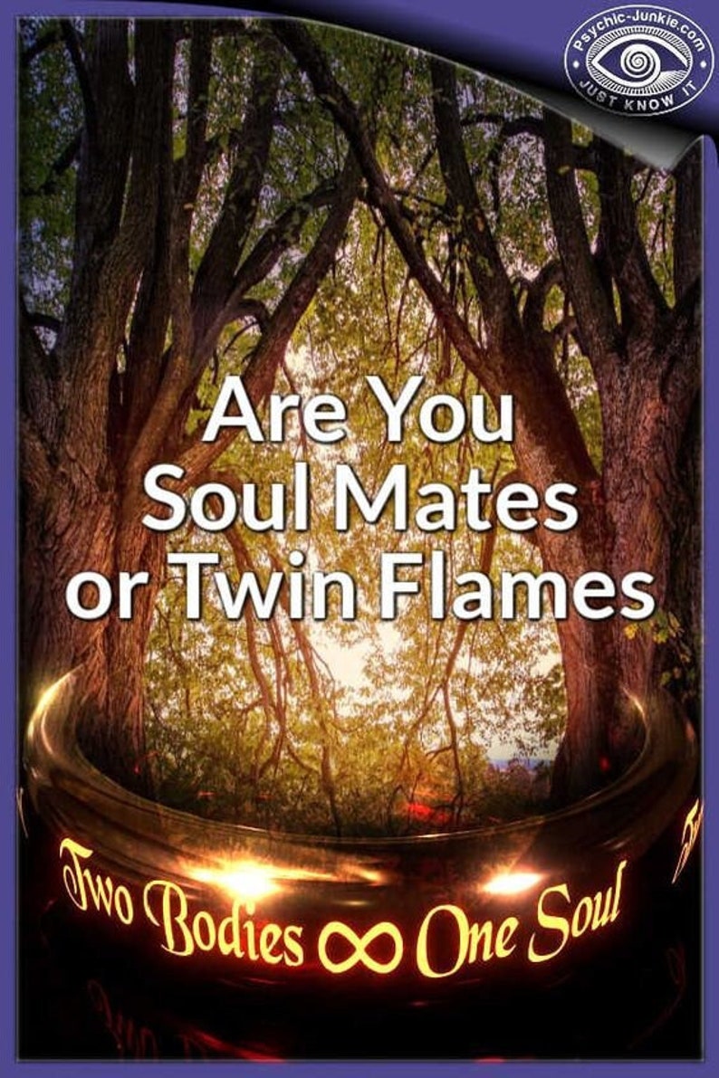 May include: An image with the text "Are You Soul Mates or Twin Flames" over a background of trees and sunlight. The words "Two Bodies &infin; One Soul" are at the bottom. The image has a purple border and a logo in the upper right corner.