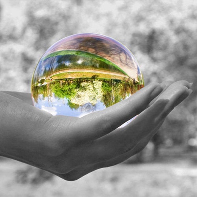 May include: A clear glass sphere reflecting a landscape scene of trees, grass, and sky. The sphere is held in a grayscale hand, with the background also in grayscale, creating a contrast with the colorful reflection.