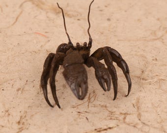 Vintage Japanese Bronze Zarigani (Crayfish) Okimono, Mid Showa 1946-1965 | SKU: 26M-814