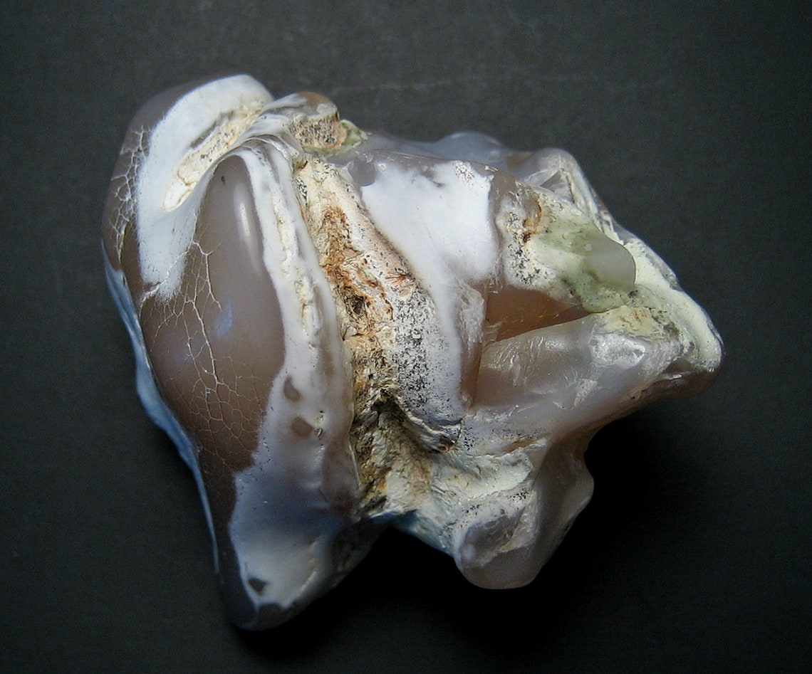 Limb Cast Agate Specimen Stonewall Pass Nevada plus Etsy