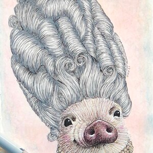 May include: A hand-drawn illustration of a pig wearing a large, elaborate, gray wig and a gold necklace with a large, oval-shaped gemstone. The pig has a pink snout and small, black eyes.